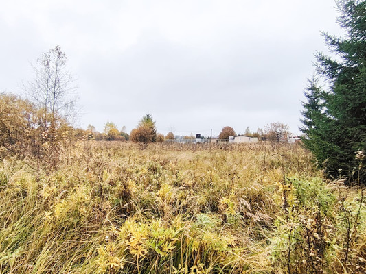 Объект по адресу Москва, Монаково д 