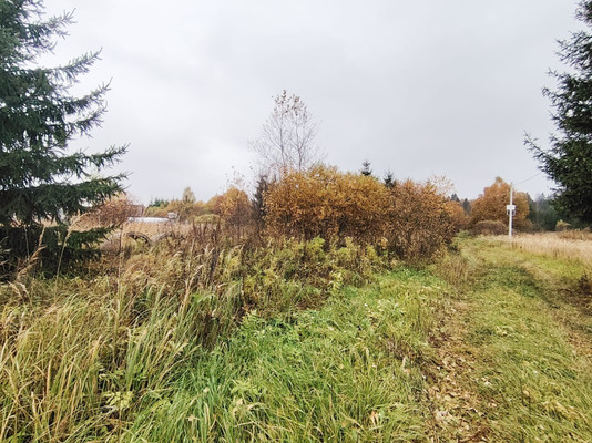 Объект по адресу Москва, Монаково д 