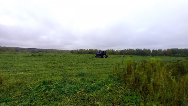 Объект по адресу Москва, СНТ Федотовка тер 