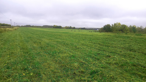 Объект по адресу Москва, СНТ Федотовка тер 