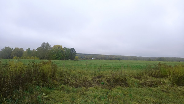 Объект по адресу Москва, СНТ Федотовка тер 