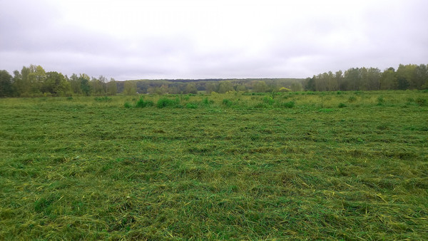 Объект по адресу Москва, СНТ Федотовка тер 