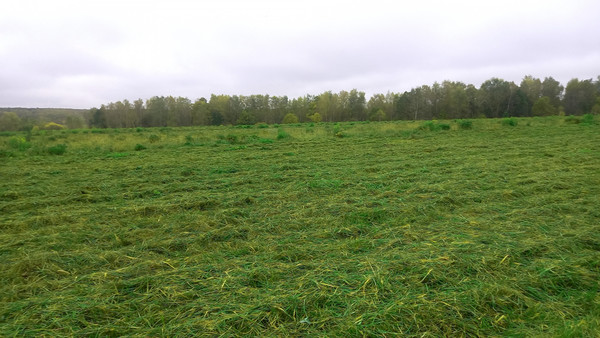 Объект по адресу Москва, СНТ Федотовка тер 