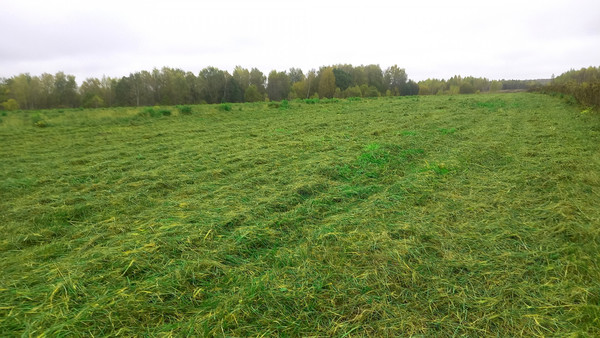 Объект по адресу Москва, СНТ Федотовка тер 