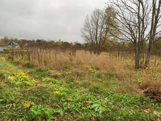 Объект по адресу Москва, Сельцо п 