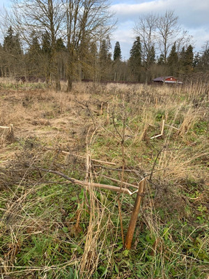 Объект по адресу Москва, Сельцо п 