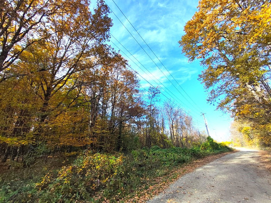 Объект по адресу Москва, Королёва ул, 124 