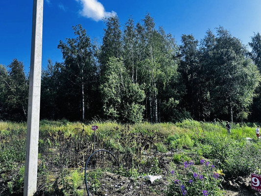 Объект по адресу Москва, Никитилово д 