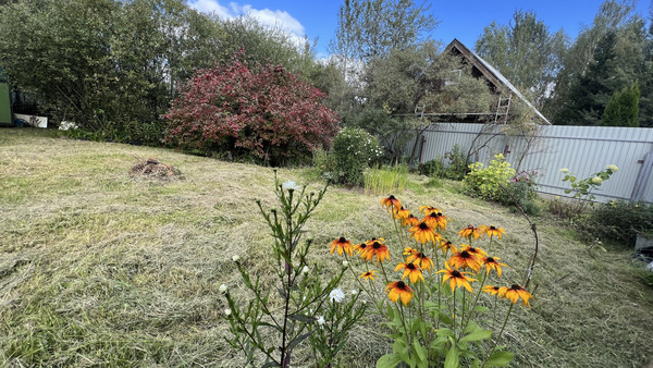 Объект по адресу Москва, Горышкино д 