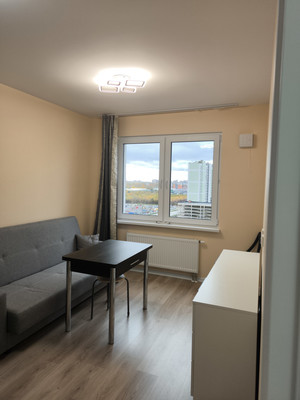 Объект по адресу Санкт-Петербург, Пахомовская ул, 12к2 