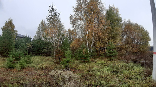 Объект по адресу Москва, совхоза Раменское п 