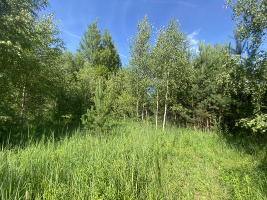 Объект по адресу Москва, Старково д 