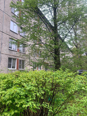 Объект по адресу Санкт-Петербург г, Павловская ул, д. 54