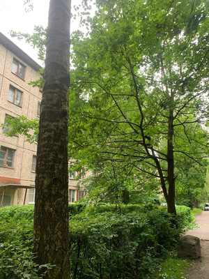 Объект по адресу Санкт-Петербург г, Павловская ул, д. 54