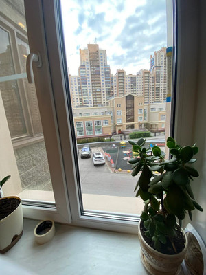 Объект по адресу Санкт-Петербург г, Яхтенная ул, д. 3к2