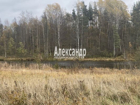 Объект по адресу Москва, Шушино п 