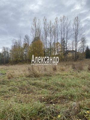 Объект по адресу Москва, Шушино п 