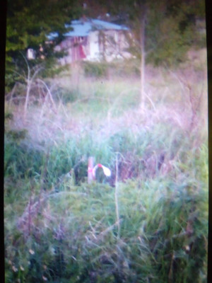 Объект по адресу Краснодарский край, Анапский р-н, Куток х, Летняя ул