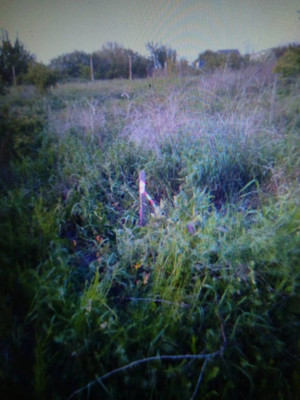 Объект по адресу Краснодарский край, Анапский р-н, Куток х, Летняя ул