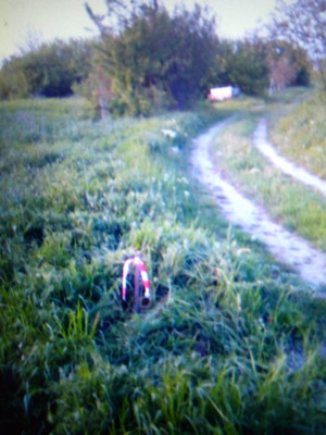 Объект по адресу Краснодарский край, Анапский р-н, Куток х, Летняя ул