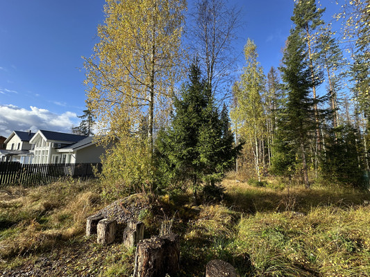 Объект по адресу Москва, Лебяжье п 