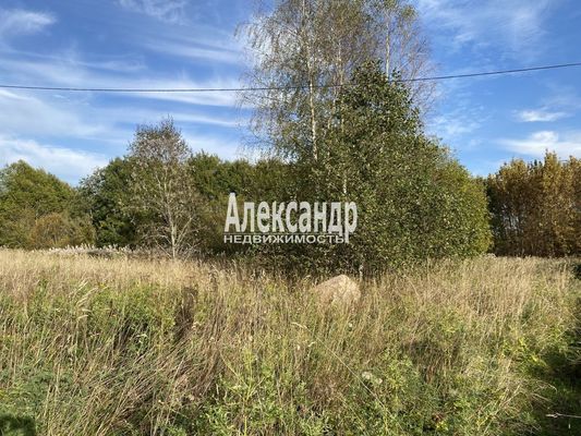 Объект по адресу Москва, Силино д 