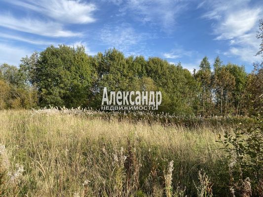 Объект по адресу Москва, Силино д 