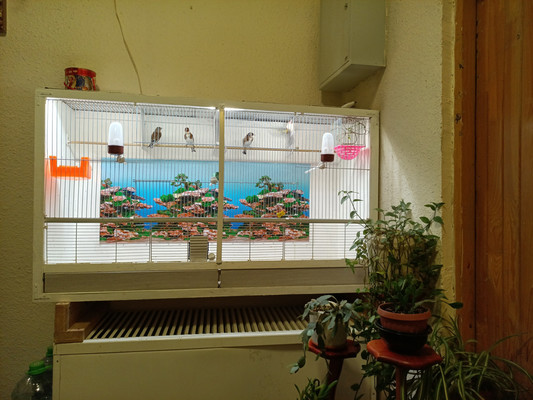 Объект по адресу Москва, Коровинское ш, 1к2 