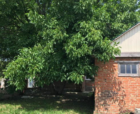 Объект по адресу Краснодарский край, Тихорецкий р-н, Алексеевская ст-ца, Пискохи ул, д. 8