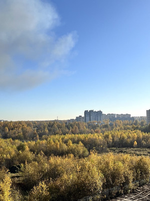 Объект по адресу Ленинградская обл, Всеволожский р-н, Шоссе в Лаврики ул, д. 93