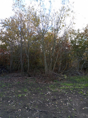 Объект по адресу Краснодарский край, Анапский р-н, 3Б мкр