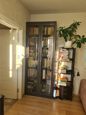 Объект по адресу Санкт-Петербург г, Парфёновская ул, д. 9к1