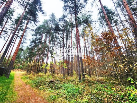 Объект по адресу Ленинградская обл, Приозерский р-н, Сосново п, Связи ул