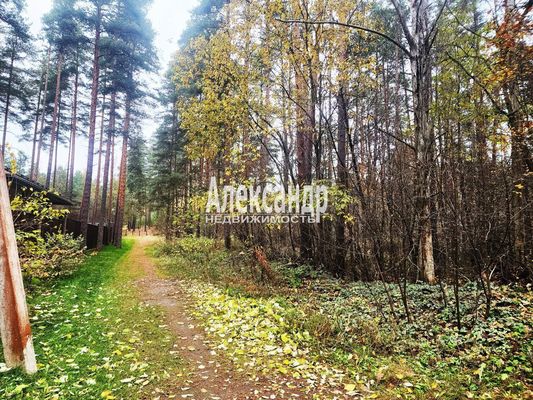 Объект по адресу Ленинградская обл, Приозерский р-н, Сосново п, Связи ул