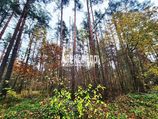 Объект по адресу Ленинградская обл, Приозерский р-н, Сосново п, Связи ул