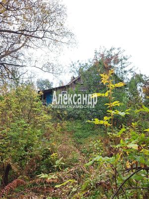 Объект по адресу Москва, Кутузовское п 