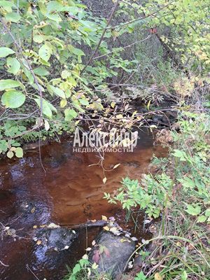 Объект по адресу Москва, Кутузовское п 