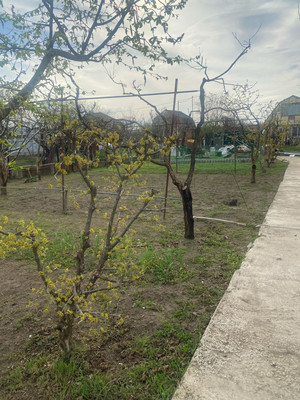 Объект по адресу Москва, Строитель-2 снт, 136 