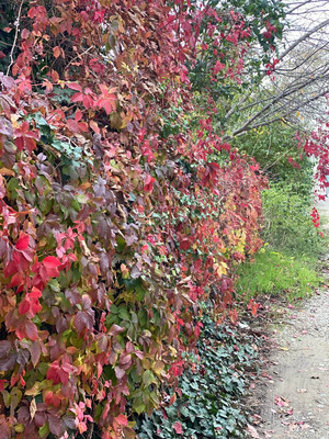 Объект по адресу Москва, Армавирская ул 