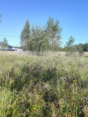 Объект по адресу Москва, Карпово с 