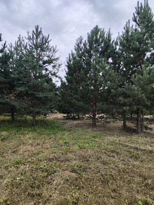 Объект по адресу Москва, Минино д 