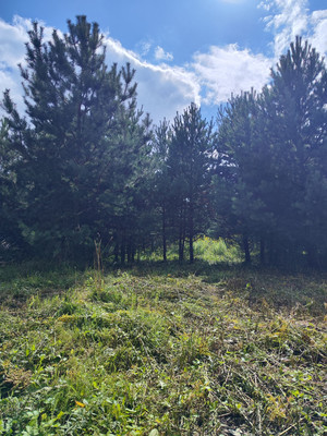 Объект по адресу Москва, Минино д 