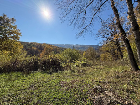 Объект по адресу Москва, Лесная ул, 17А 