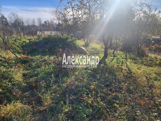 Объект по адресу Москва, Кузнечное гп 