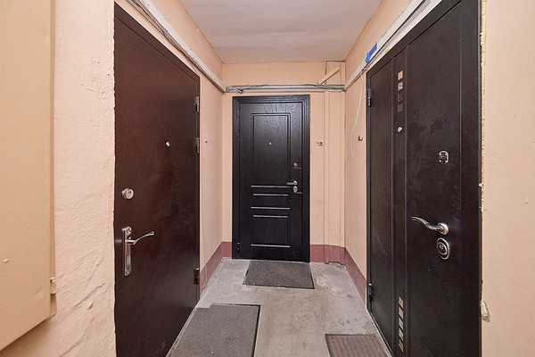 Объект по адресу Санкт-Петербург г, Репищева ул, д. 19к1