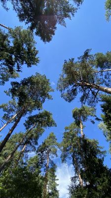 Объект по адресу Москва, Устье С и Ко снт 