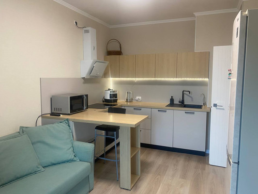 Объект по адресу Санкт-Петербург, Грибалёвой ул, 9к1 