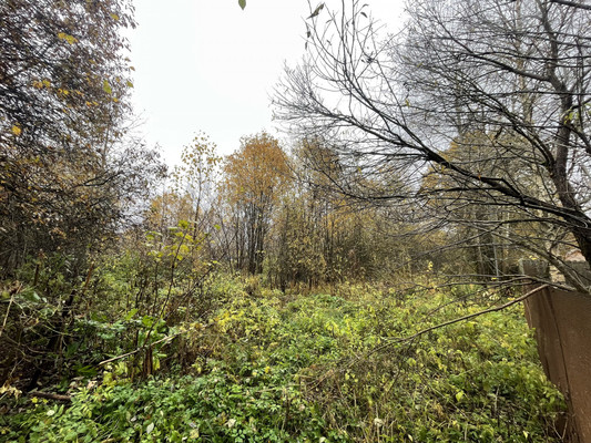 Объект по адресу Москва, Родниковая ул, 10Б 