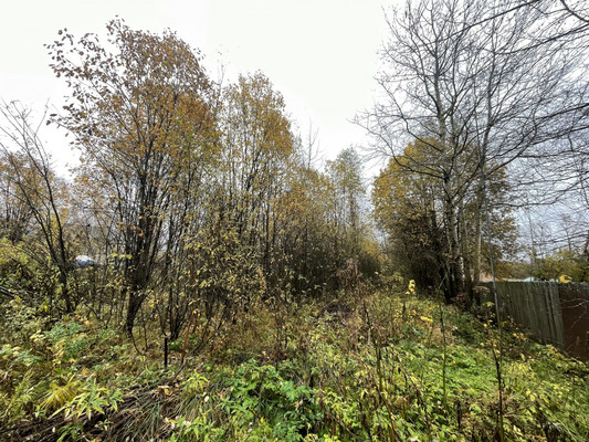 Объект по адресу Москва, Родниковая ул, 10Б 