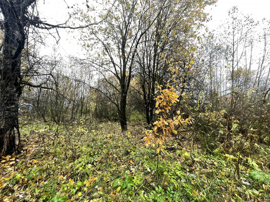 Объект по адресу Москва, Родниковая ул, 10Б 